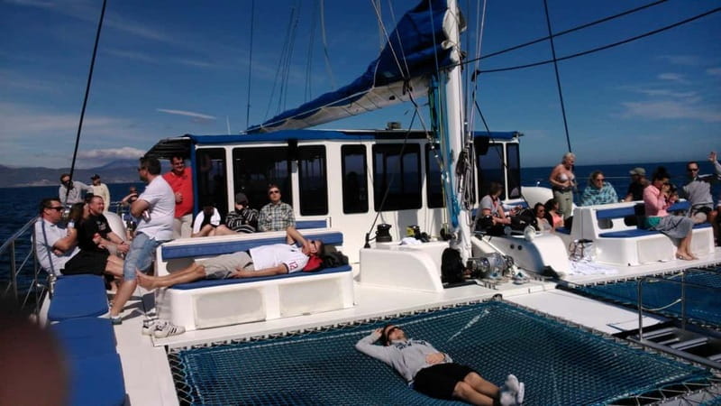 Barcelona: Daytime or Sunset Cruise with Drinks - Key Points
