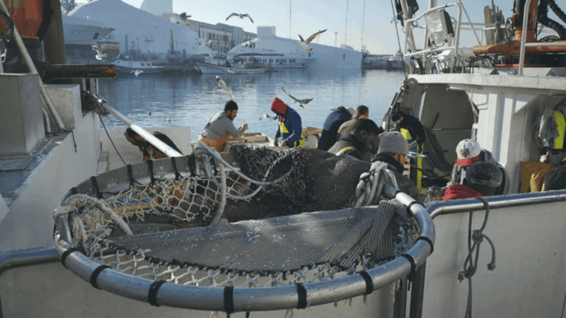 Barcelona Fishermens Guild Guided Tour - Booking Information
