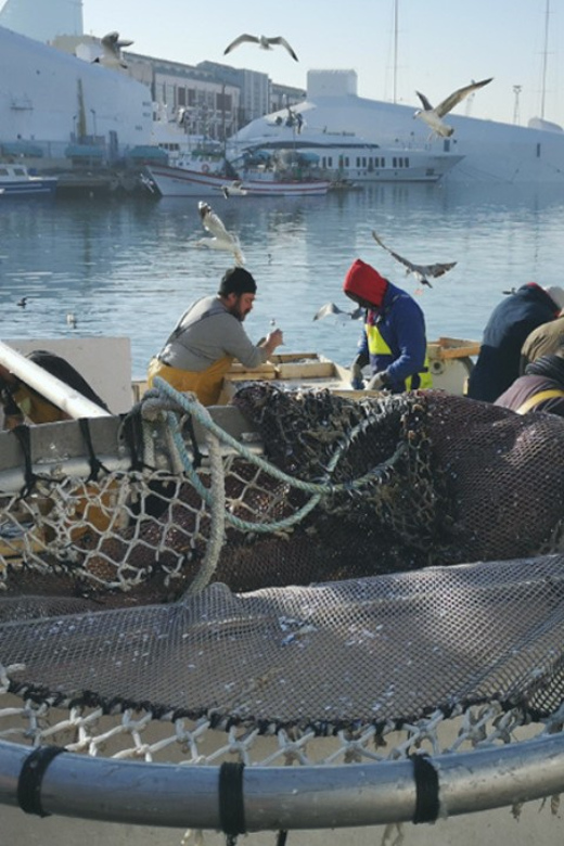 Barcelona Fishermens Guild Guided Tour - Important Information