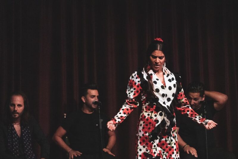 Barcelona: Flamenco Show at Palau Dalmases - Key Points