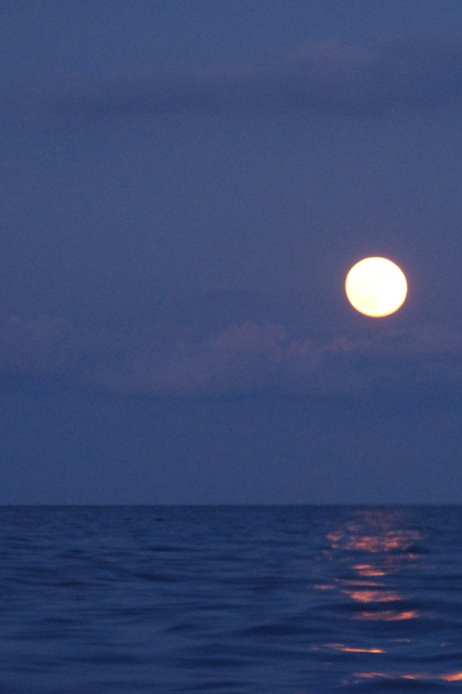 Barcelona Full Moon Cruise - Highlights of the Experience