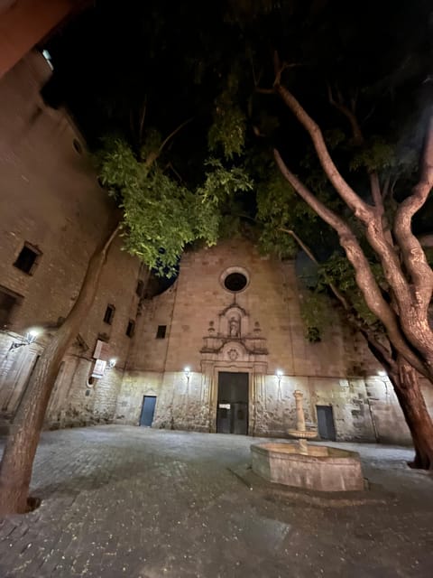 Barcelona: Gothic Quarter & El Born Hidden Gems Walking Tour - The Experience and Practical Details