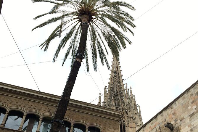 Barcelona Gothic Quarter From Roman Walls to Hidden Courtyards - Key Points
