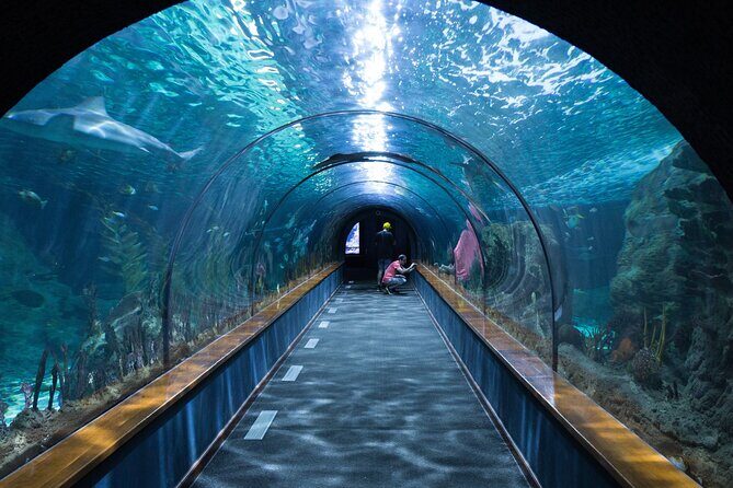 Barcelona Hop On Hop Off Bus Tour With Aquarium Admission - The Itinerary in Detail