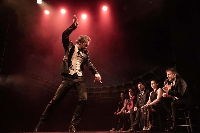 Barcelona: "Inspiration" Live Flamenco Show - Key Points