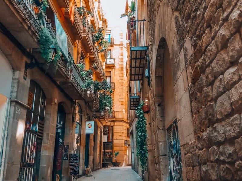 Barcelona: Introduction to the Gothic Quarter Walking Tour - Who Will Love This Tour?