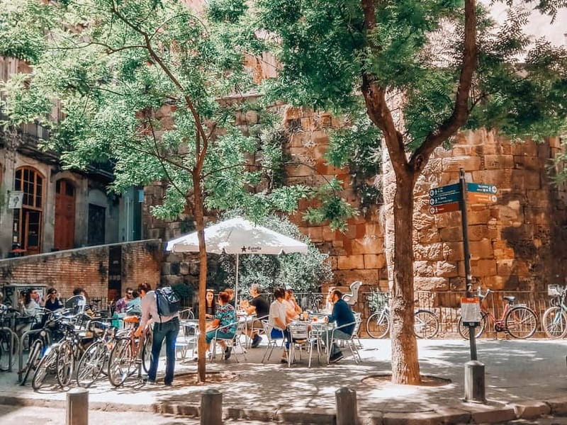Barcelona: Introduction to the Gothic Quarter Walking Tour - Exploring the Streets of the Gothic Quarter