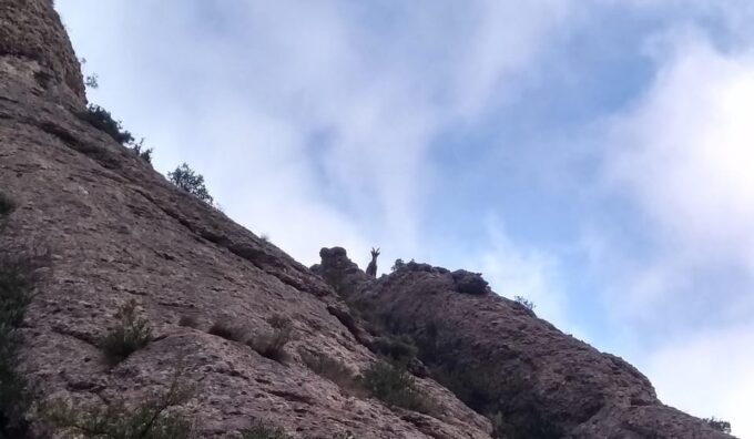 Barcelona: Montserrat Monastery and Natural Park Guided Tour - What to Bring and Expect