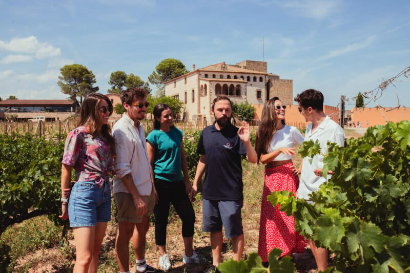 Barcelona: Montserrat With Winery, Lunch, and Train Options - Customer Experience and Reviews