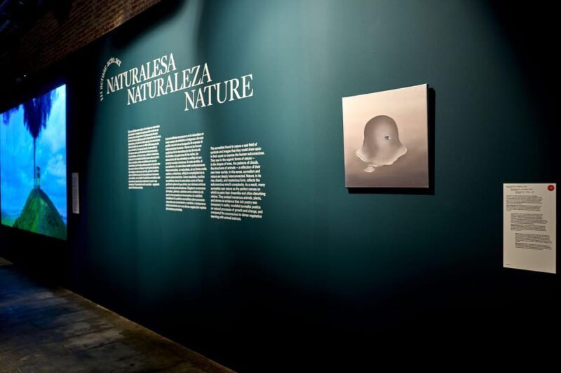 Barcelona: Museum NOU / SUR PLAY Exhibition Ticket - The Setting: A Historic Venue with a Modern Twist