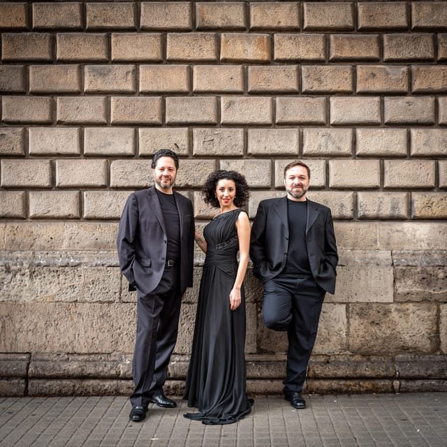 Barcelona: OPERA HITS Concert at historical Casa Museu - Who Is This Tour For?