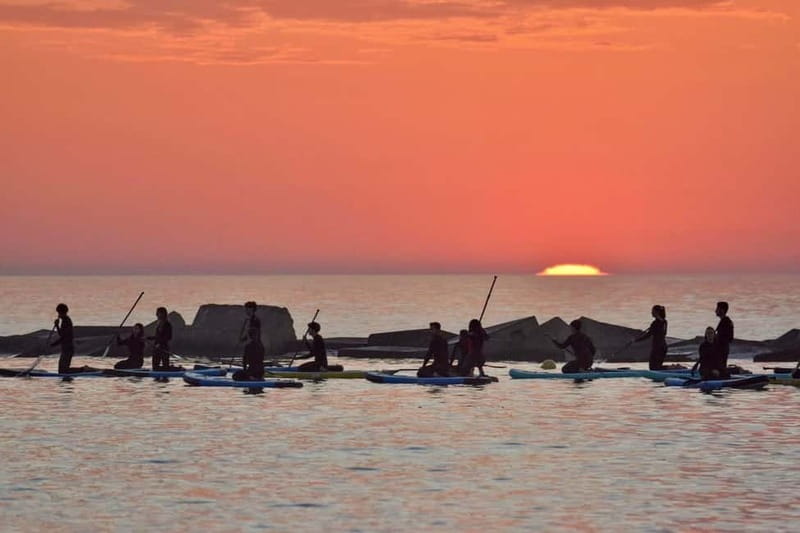 Barcelona: Paddleboard at sunrise. Inc.: teacher, photos/videos, material, equipment. - Key Points