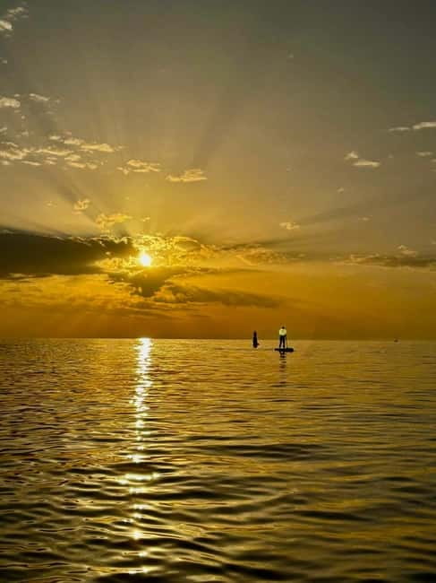 Barcelona: Paddleboard at sunrise. Inc.: teacher, photos/videos, material, equipment. - What is the Experience Like?
