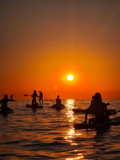 Barcelona: Paddleboard at sunrise. Inc.: teacher, photos/videos, material, equipment. - The Sum Up