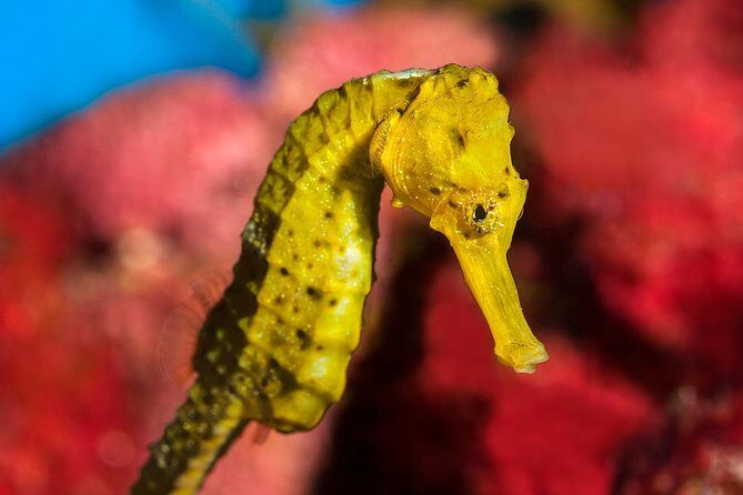 Barcelona Pass: Save up to 50% - Includes Sagrada Familia - A Closer Look at the Itinerary and Attractions