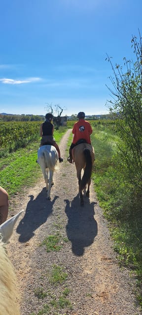 Barcelona: Penedès Vineyard Horseback Ride With Wine Tasting - Itinerary Details
