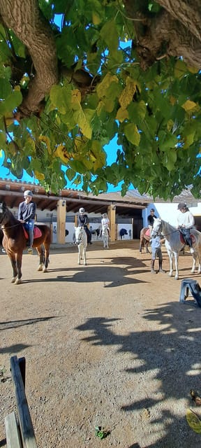 Barcelona: Penedès Vineyard Horseback Ride With Wine Tasting - Important Information