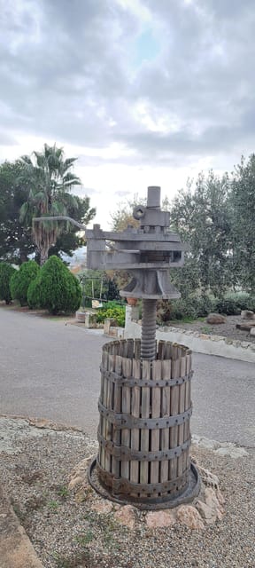 Barcelona: Penedès Vineyard Horseback Ride With Wine Tasting - Scenic Horseback Ride in Lush Nature