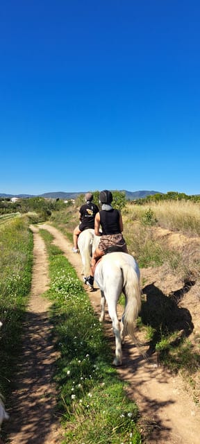 Barcelona: Penedès Vineyard Horseback Ride With Wine Tasting - Frequently Asked Questions