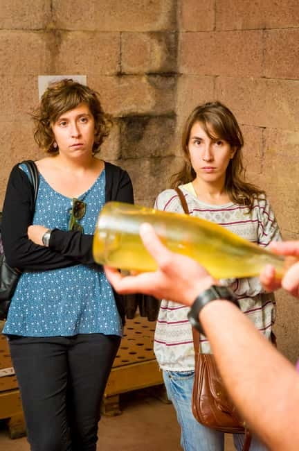 Barcelona: Penedès Wine and Cava Tour with Workshop - Key Points