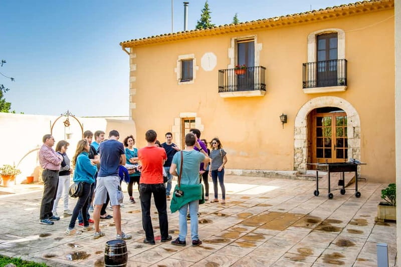 Barcelona: Penedès Wine and Cava Tour with Workshop - A Deep Dive Into the Penedès Wine and Cava Tour