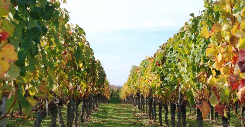Barcelona: Private E-Bike Tour and Wine Tasting - Tour Highlights