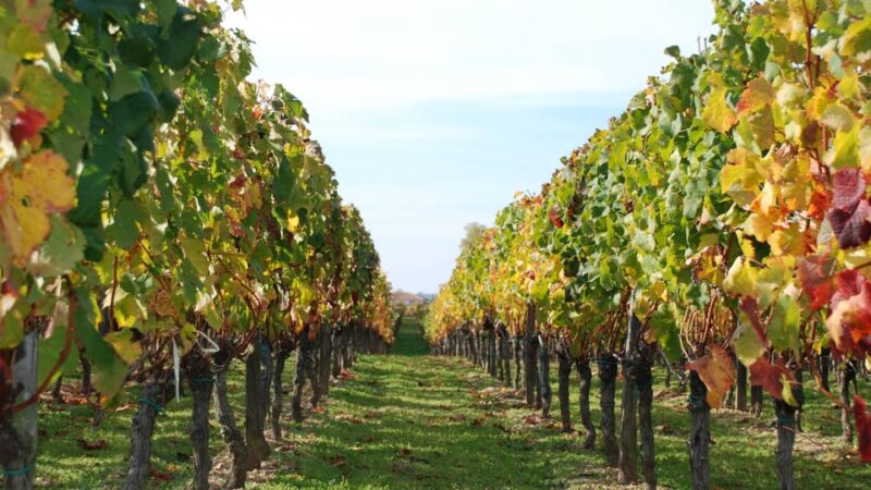 Barcelona: Private E-Bike Tour and Wine Tasting - Itinerary