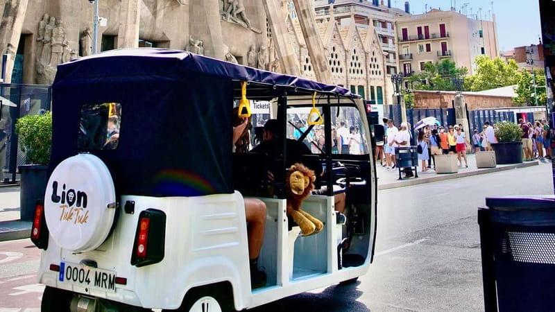 Barcelona: Private Hop-On Hop-Off Lion Tuk Tuk Tour - The Practical Side: Transportation and Group Size
