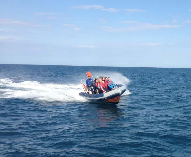 Barcelona: Speedboat Coastline Tour - Key Points