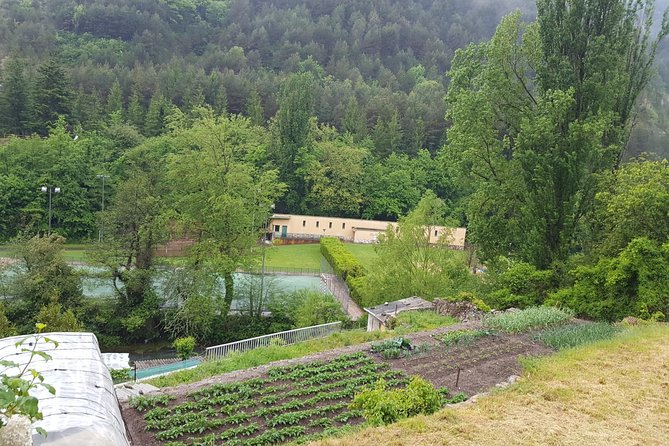 Barcelona to Andorra Day Trip Review - Since You Asked