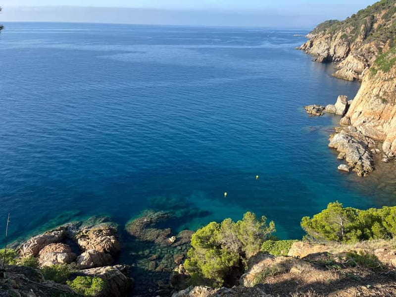 Barcelona: Tossa de Mar coastal path & Costa Brava - Authentic Experiences from Past Travelers