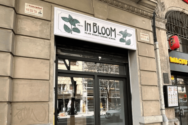 Barcelona: Vegan Paella and Traditional Rice Dishes - Key Points