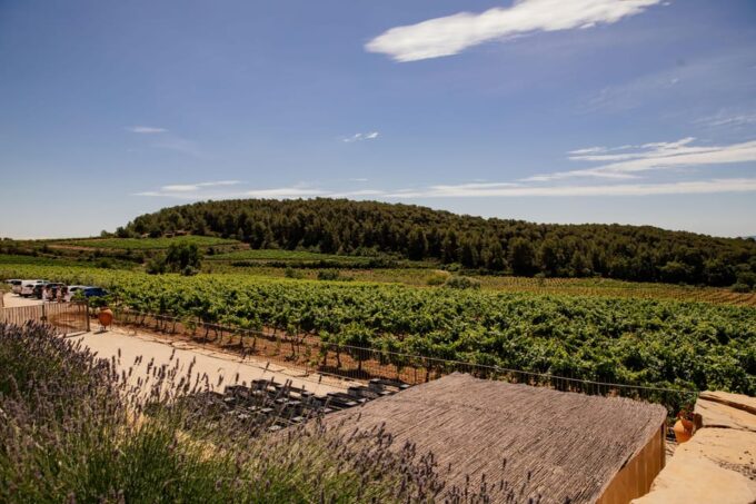 Barcelona: Vineyard Horseback Riding & Wine Tasting + Tapas - Frequently Asked Questions