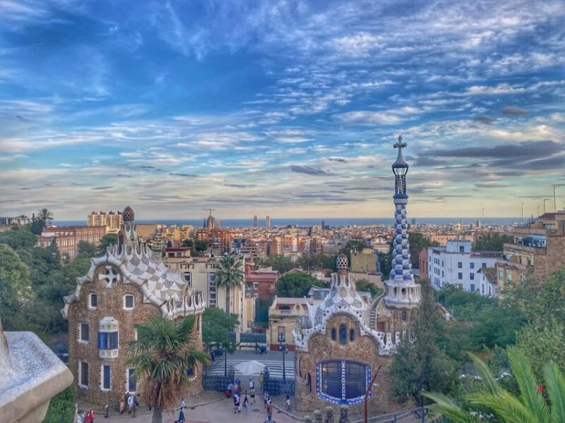 Barcelona: VIP Tailor-Made Tour With Private Guide - Private Guide Expertise