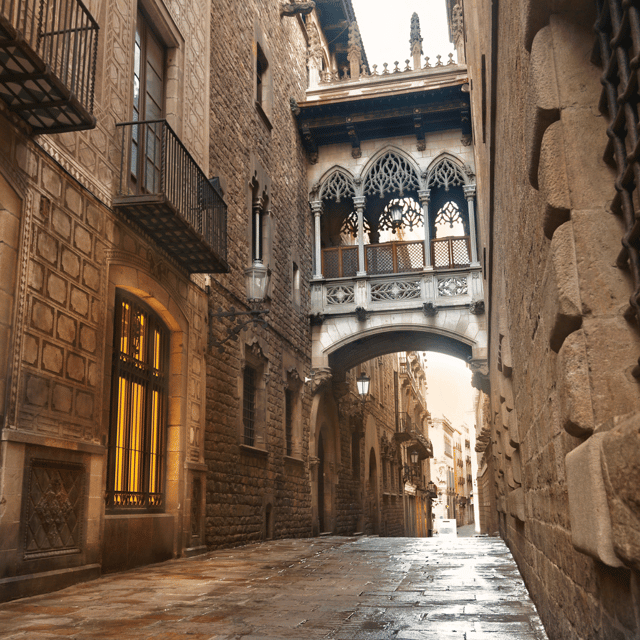 Barcelona: Walking Tour of the Gothic Quarter and Boat Ride - Tour Features