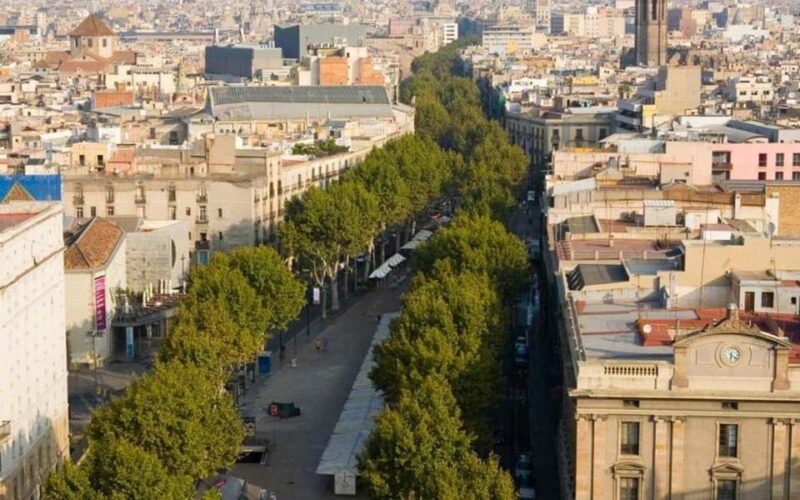 Barcelona:Private 2-Hour Best of Barcelona Tour With a Local - Experience and Comfort
