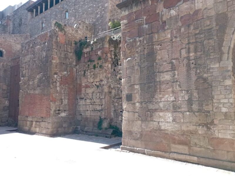 Barcino: Rome in Miniature! - Customer Feedback