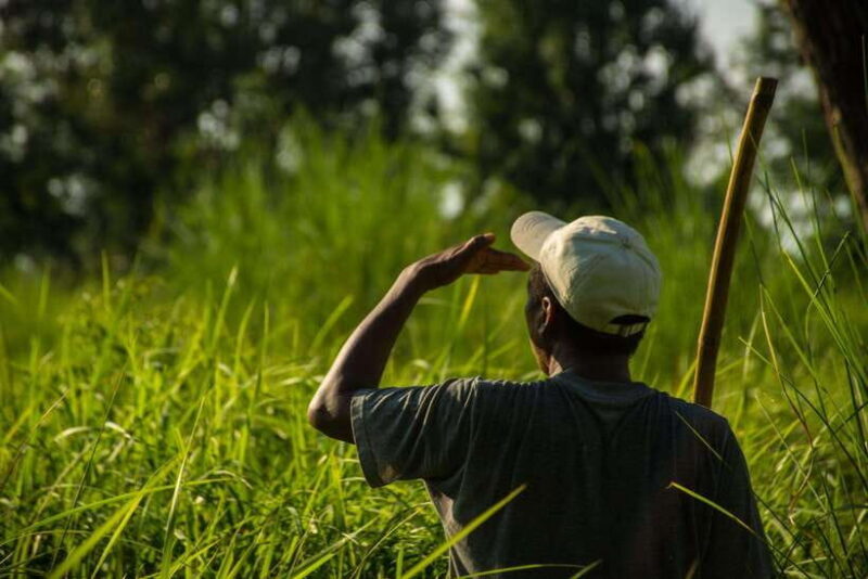 Bardiya National Park: Treehouse Stay with Wildlife Safari - An In-Depth Look at the Bardiya National Park Safari