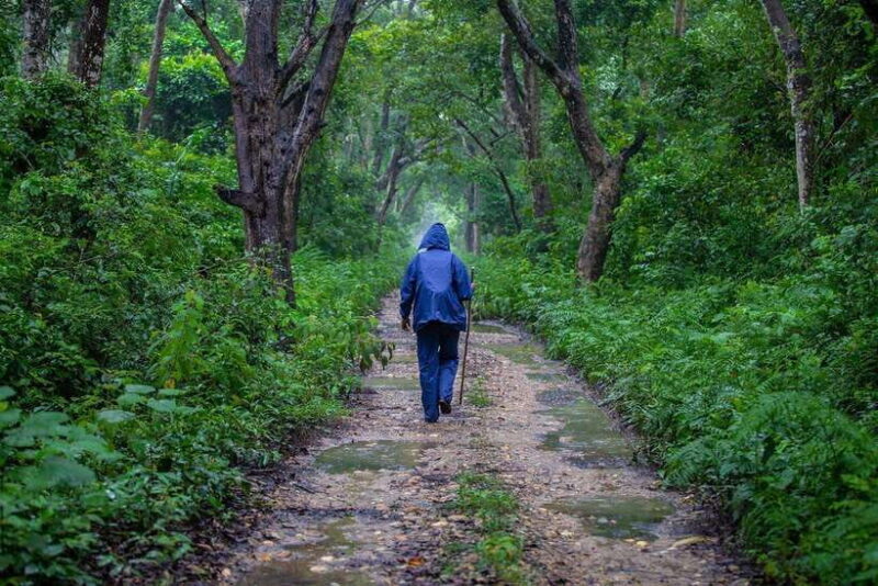 Bardiya National Park: Treehouse Stay with Wildlife Safari - Who Would Love This Tour?