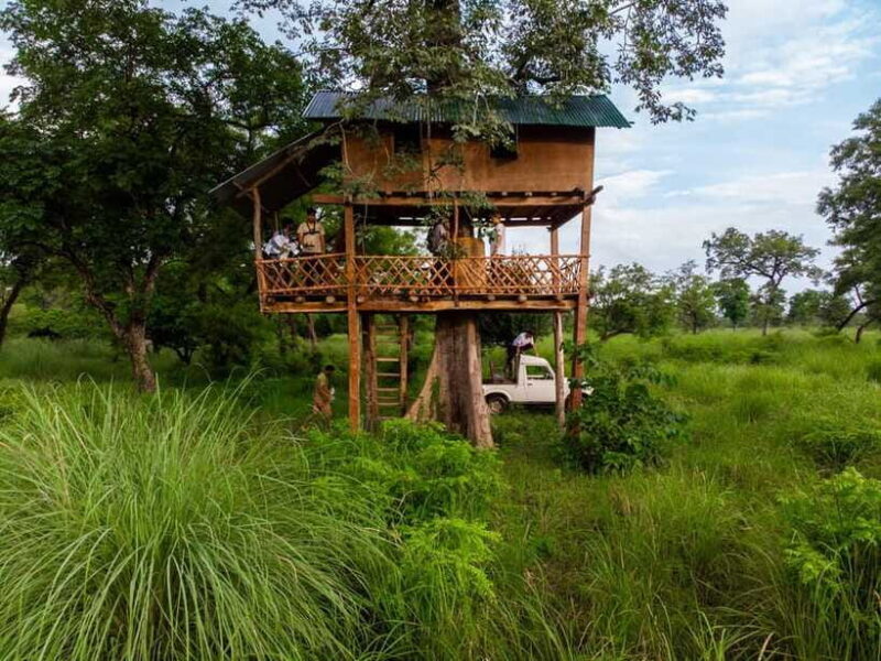 Bardiya National Park: Treehouse Stay with Wildlife Safari - FAQ