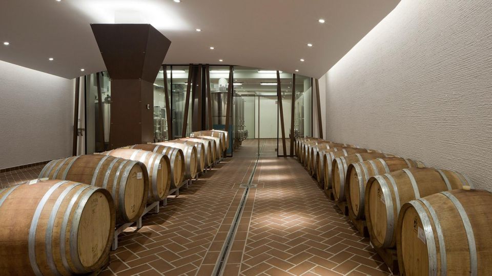 Bardolino: Tasting of 6 Red Valpolicella and Garda Wines - Key Points