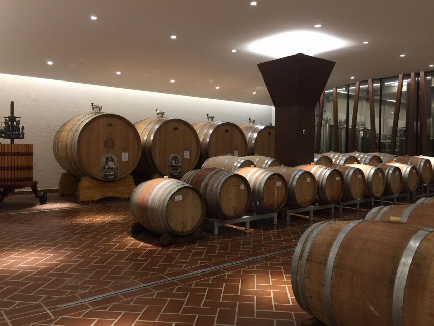 Bardolino: Tasting of 6 Red Valpolicella and Garda Wines - Wine Varieties Explored