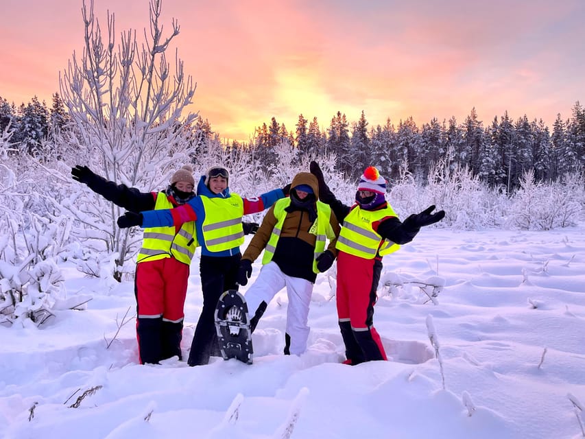 Bardufoss: Wild Moose Safari with Lunch - Key Points