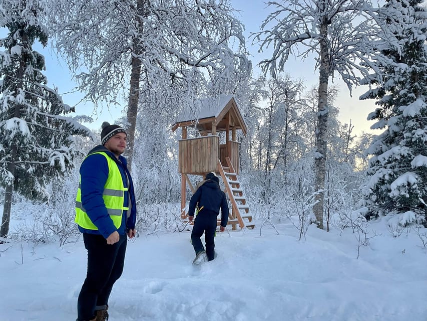 Bardufoss: Wild Moose Safari with Lunch - FAQ