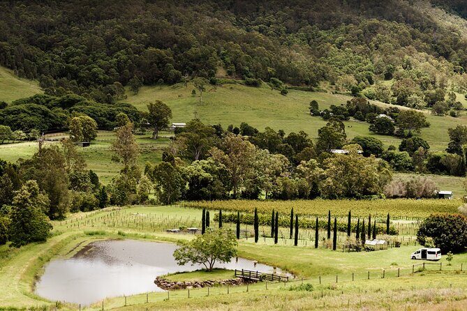 Barefoot Luxury Mount Tamborine Winery Tour from Brisbane - An In-Depth Look at the Experience