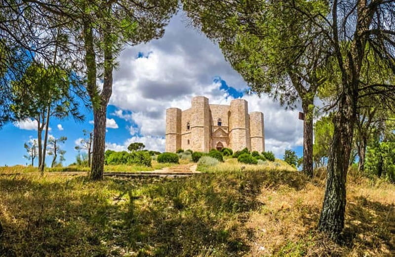 Bari: Castel del Monte Half-Day Tour with Entry Ticket - Review of the Bari: Castel del Monte Half-Day Tour with Entry Ticket