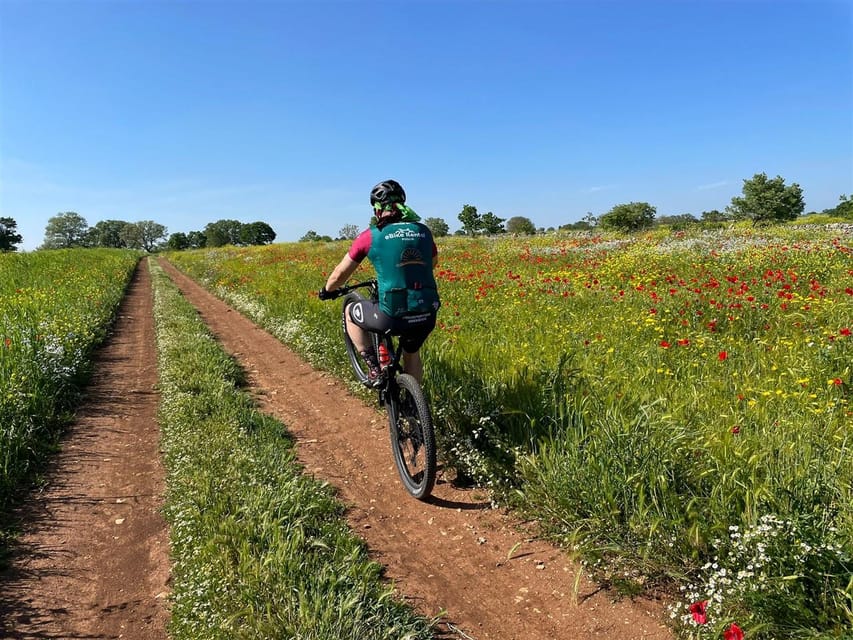 Bari: E-Bike Tour Through Vineyards & Wine Tasting in Puglia - Discovering the Winemaking Traditions of Apulia