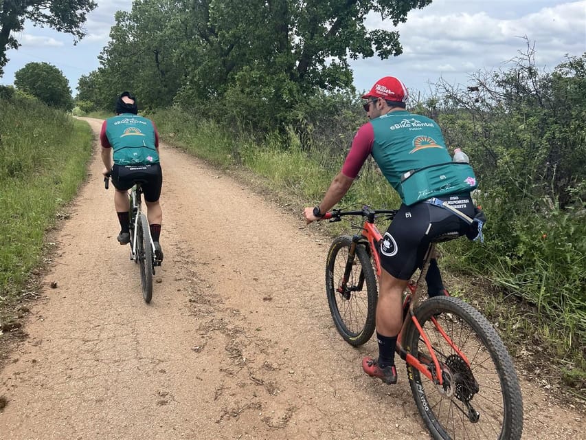 Bari: E-Bike Tour Through Vineyards & Wine Tasting in Puglia - The Unique Blend of Nature, Adventure, and Fine Wine