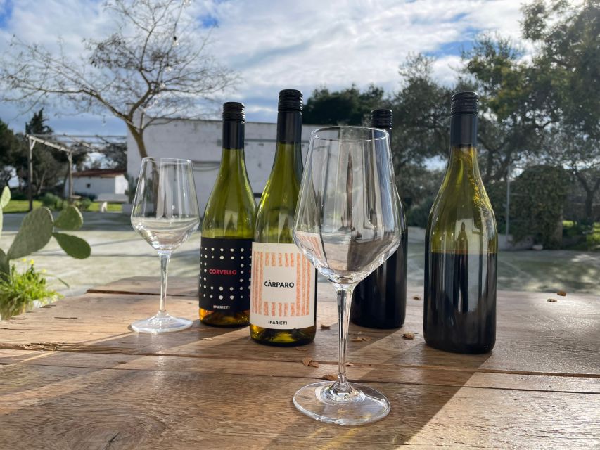 Bari/Gioia Del Colle: Ebike Tour & Toasts in Vineyard - Culinary Delights