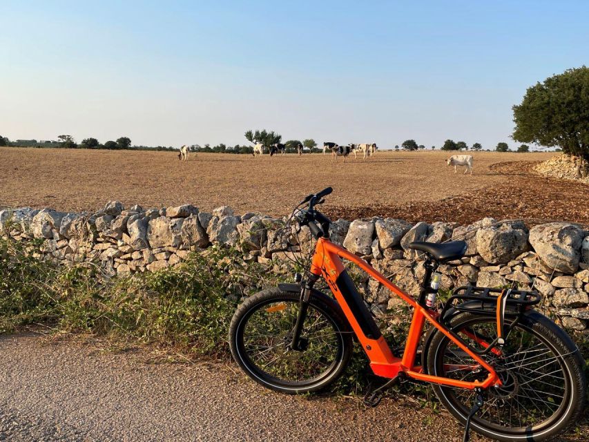 Bari/Gioia Del Colle: Ebike Tour & Toasts in Vineyard - Additional Activities Offered